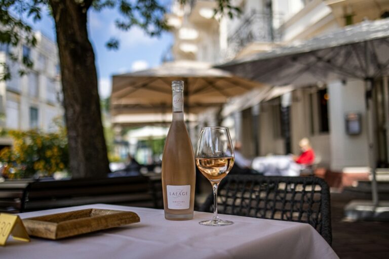 Melhores Taças de Vinhos Chiques e Baratas: Top 4 (2026)